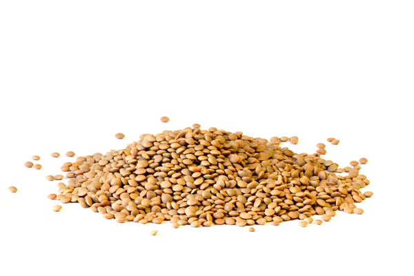 Lentils — Stock Photo, Image