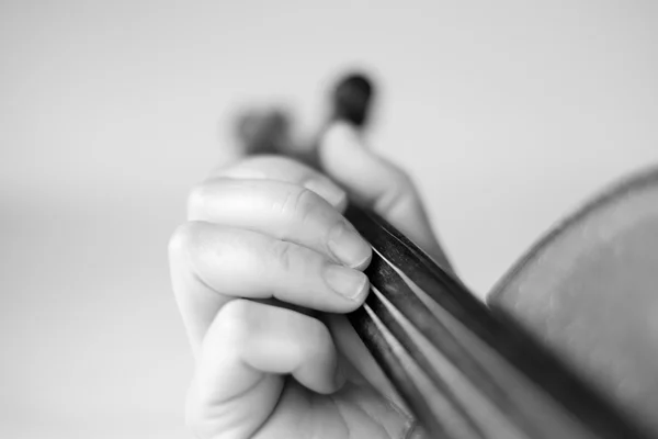 Violín. — Foto de Stock