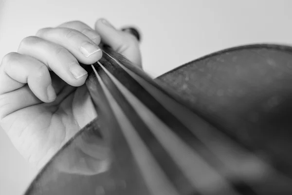 Violin — Stock Photo, Image