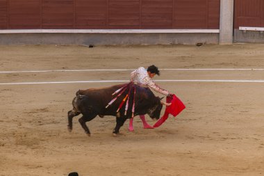 Madrid, İspanya boğa güreşi