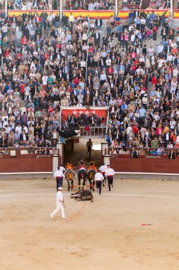 Madrid, İspanya boğa güreşi