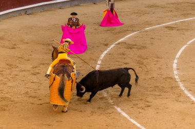 Madrid, İspanya boğa güreşi