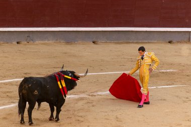 Madrid, İspanya boğa güreşi