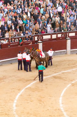 Madrid, İspanya boğa güreşi