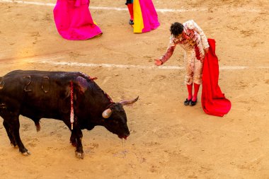 Madrid, İspanya boğa güreşi