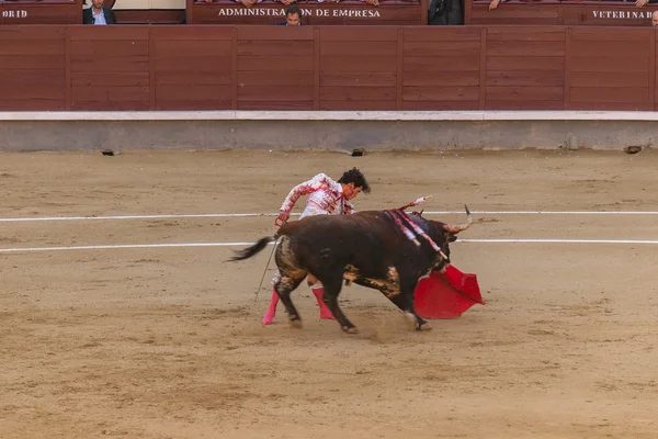 マドリード、スペインの闘牛 — ストック写真