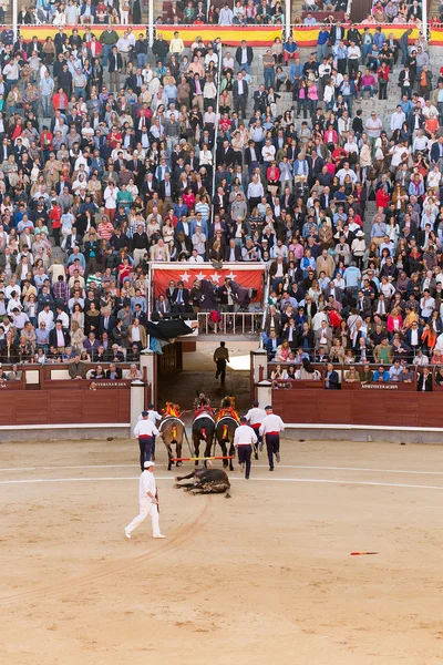 Stierengevecht in Madrid, Spanje — Stockfoto