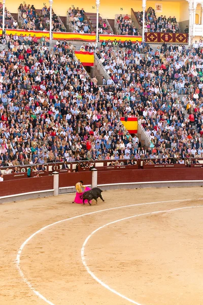 Stierkampf in Madrid, Spanien — Stockfoto