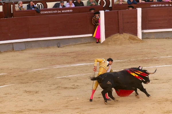 Bullfight i Madrid, Spania – stockfoto