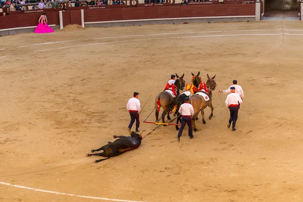 Stierengevecht in Madrid, Spanje — Stockfoto