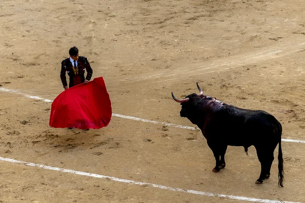 Ταυρομαχία στη Μαδρίτη, Ισπανία — Φωτογραφία Αρχείου