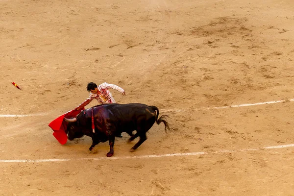 Stierengevecht in Madrid, Spanje — Stockfoto