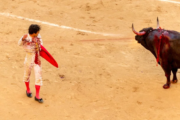 Bullfight i Madrid, Spania – stockfoto