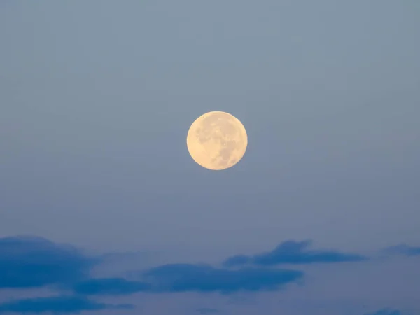 Full moon on a brightening dawn sky, above blue clouds — Stock Photo, Image