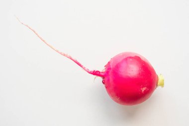 Açık gri arkaplanda kırmızı turp, izole değil.