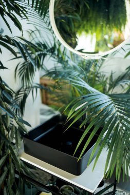 Yeşil bitkilerle dolu modern banyo..