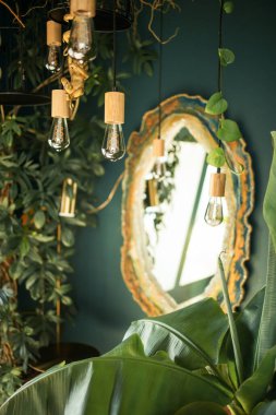 Edison ampulleri hafif tasarım, yeşil bitkilerle dolu modern tavan arası..