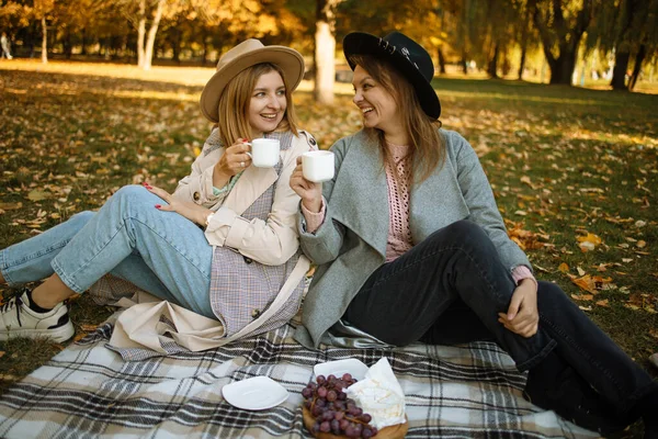 Hermosos Amigos Pasando Tiempo Una Manta Picnic Hierba Dos Jóvenes —  Fotos de Stock