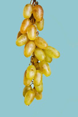 Taze yeşil üzümler mavi arkaplanda izole edilmiş.