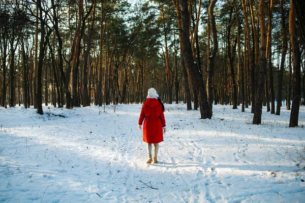 Зимний Лес Ходить Женщина Походы Снегу Высокими Сапогами Ходить Открытом — стоковое фото
