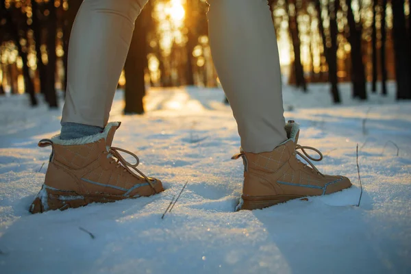 女孩子们在冬天徒步旅行 他们的腿和鞋子都是在冰雪覆盖的地方 森林里闪烁着太阳 — 图库照片