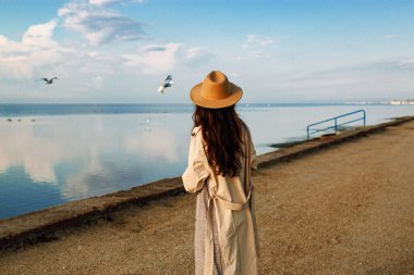 Back view of beautiful young asian woman standing on pier in winter