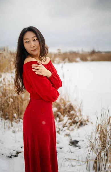 Young Beautiful Asian Woman Long Red Dress Reeds Winter Background — Fotografia de Stock