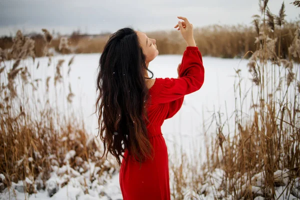 Young Beautiful Asian Woman Long Red Dress Reeds Winter Background — Zdjęcie stockowe