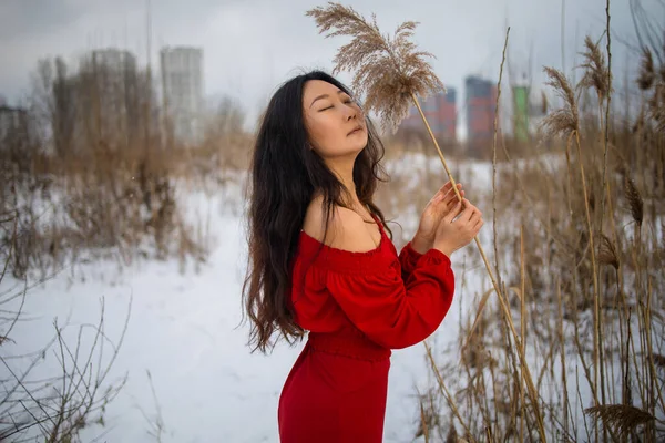 Young Beautiful Asian Woman Long Red Dress Reeds Winter Background — стоковое фото