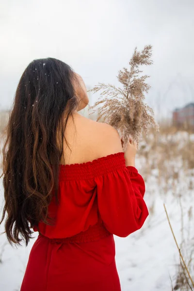 Young Beautiful Asian Woman Long Red Dress Reeds Winter Background — Zdjęcie stockowe