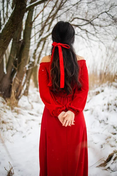 年轻美丽的亚洲女人 穿着红色长裙 冬季背景在芦苇附近 童话故事女孩在冬天的风景 — 图库照片