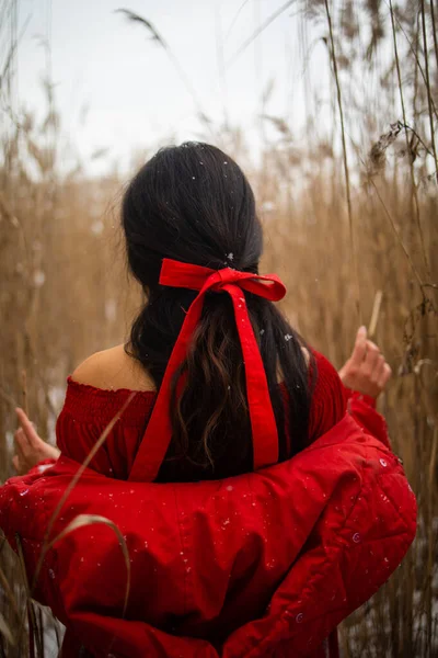 Young Beautiful Asian Woman Long Red Dress Reeds Winter Background — Stock Fotó