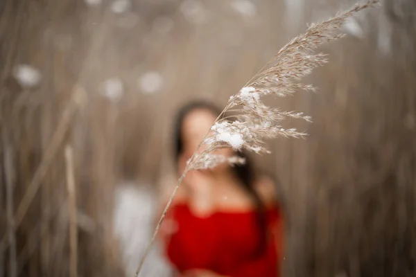 Young Beautiful Asian Woman Long Red Dress Reeds Winter Background — Fotografia de Stock