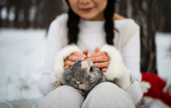 Chica Asiática Sosteniendo Conejo Sus Brazos Bosque Nevado Amistad Con —  Fotos de Stock