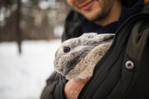 Retrato Cercano Hombre Con Conejo Niño Abraza Suavemente Conejo Gris —  Fotos de Stock