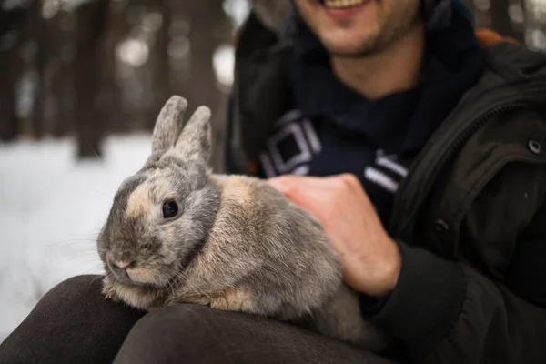 Retrato Cercano Hombre Con Conejo Niño Abraza Suavemente Conejo Gris —  Fotos de Stock