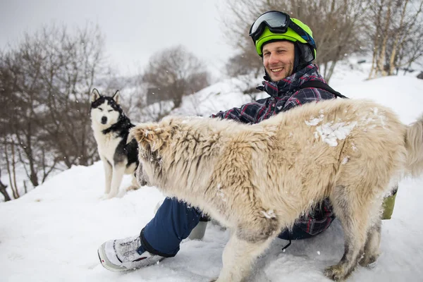 Vintersemester Alperna Resor Och Vandring Man Vandrare Med Sibirisk Husky — Stockfoto