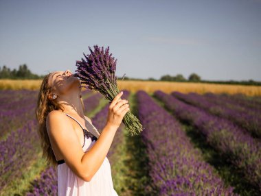 Güneşin altında bahar veya yaz lavanta tarlalarında rahatlatıcı taze lavanta buketleri tutan güzel bir manken..