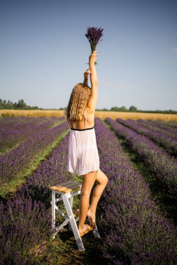 Güneşin altında bahar veya yaz lavanta tarlalarında rahatlatıcı taze lavanta buketleri tutan güzel bir manken..