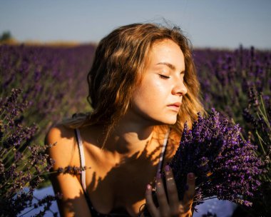 Güneşin altında bahar veya yaz lavanta tarlalarında rahatlatıcı taze lavanta buketleri tutan güzel bir manken..