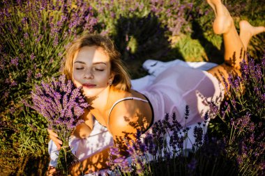 Güneşin altında bahar veya yaz lavanta tarlalarında rahatlatıcı taze lavanta buketleri tutan güzel bir manken..