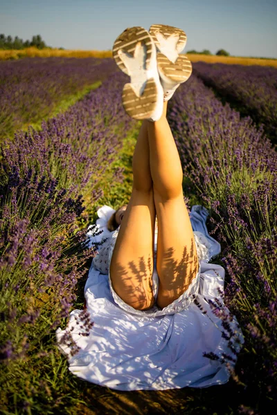 女の子の足の茂み 暖かい日没の光の外に固執する ラベンダー紫色の花の茂み ラベンダー畑の芳香のある花 — ストック写真