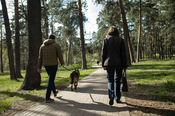 Mature Couple Walking Dog Spring Forest — стоковое фото