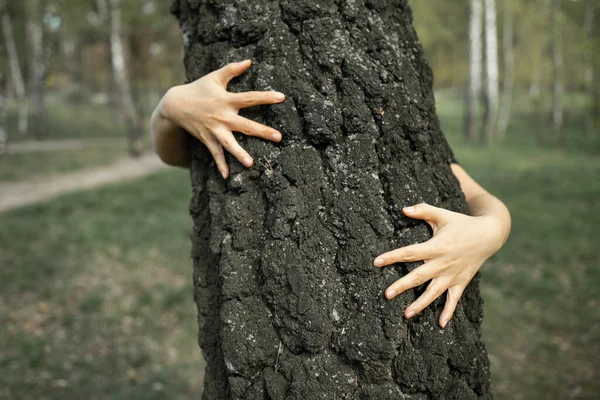 Girl Stands Hugs Tree Forest Concept Global Problem Carbon Dioxide — стоковое фото
