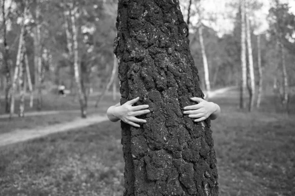 Girl Stands Hugs Tree Forest Concept Global Problem Carbon Dioxide — ストック写真