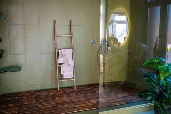 Piante Verdi Elegante Bagno Moderno Con Specchio Rotondo Interior Design — Foto Stock
