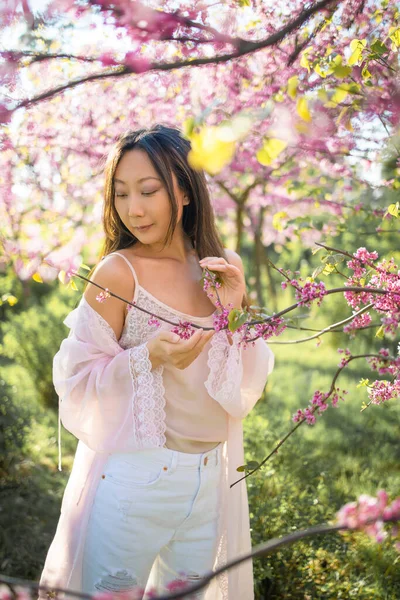 Parkta çiçek açan kiraz çiçekleriyle güzel, genç Asyalı kadın.