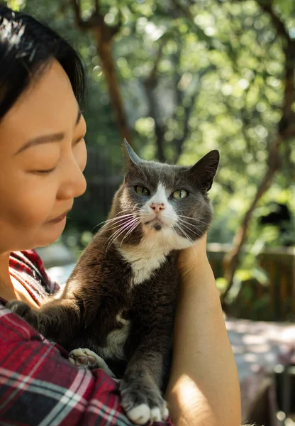 Asiatin Küsst Eine Graue Katze Außenporträt — Stockfoto