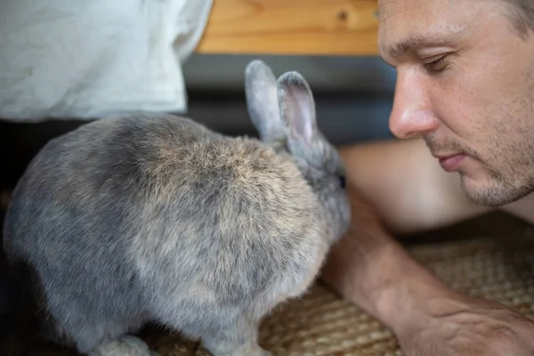 A pet rabbit is licking a man\'s head