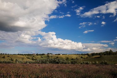 Çimen tarlası ve mükemmel gökyüzü. Orman manzarası yukarıdan gökyüzüne doğru.
